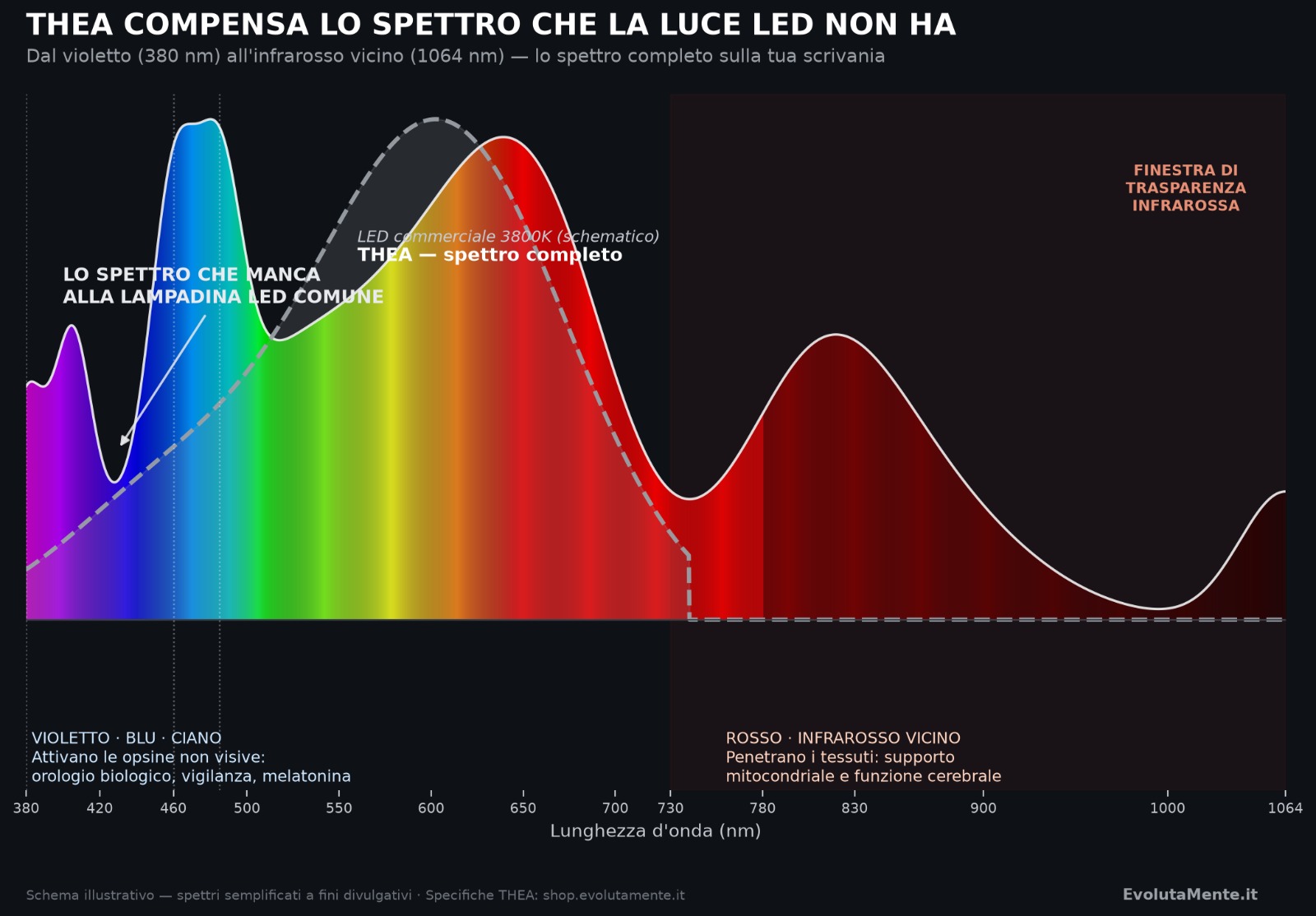 THEA compensa lo spettro che la luce LED non ha: confronto tra lo spettro di un LED commerciale 3800K e lo spettro completo di THEA dal violetto (380 nm) all’infrarosso vicino (1064 nm)